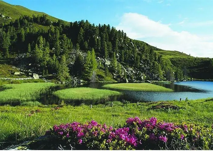 Appartamento Nockalm